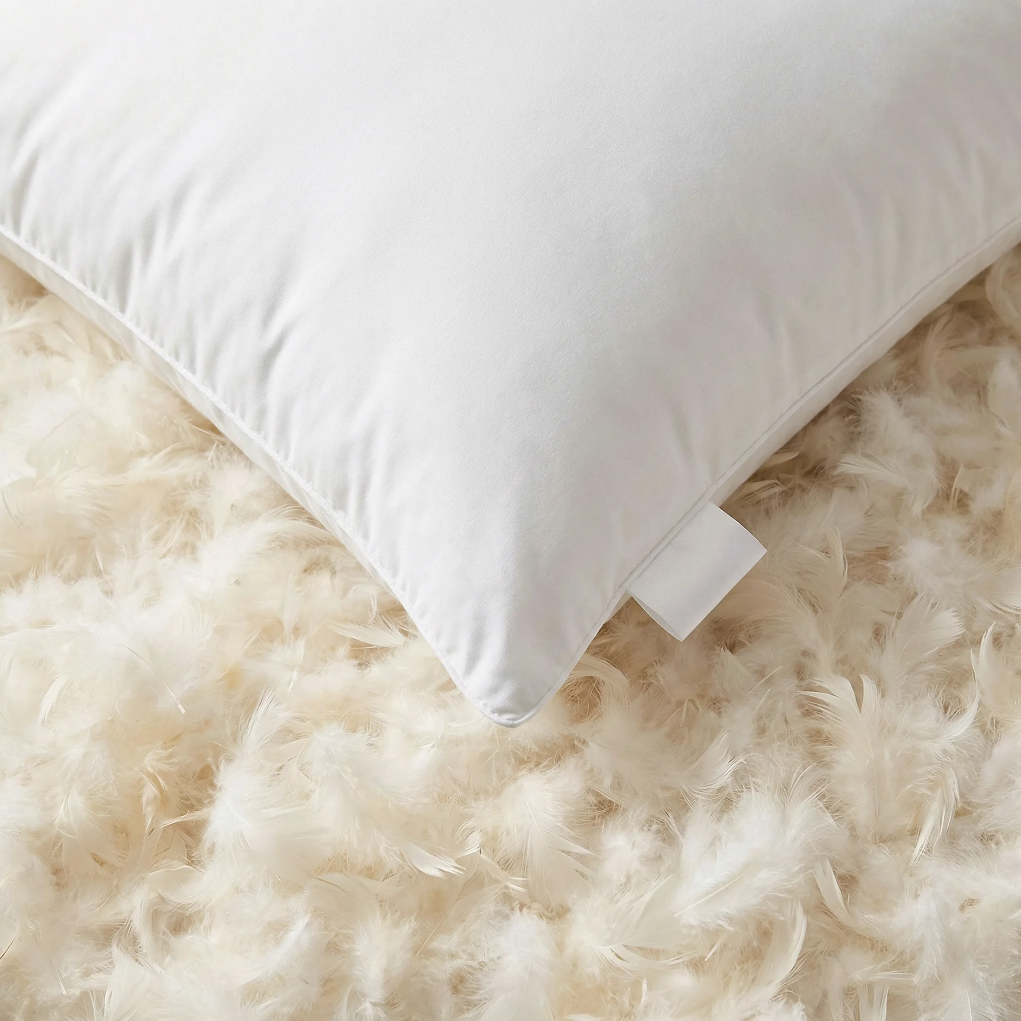 FluffCo pillow on feather background